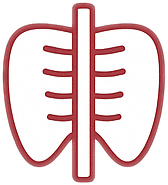 Cranial Osteopathy Icon