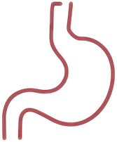 Visceral Osteopathy Icon